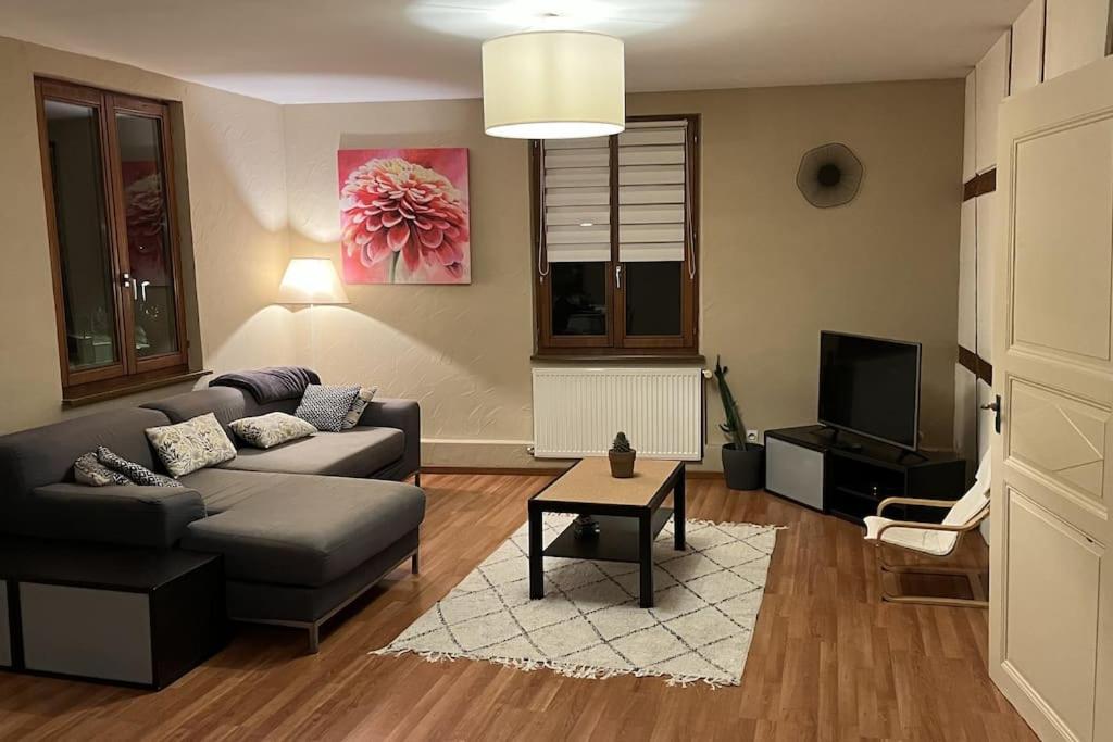 Grand Appartement A Barr Zewnętrze zdjęcie